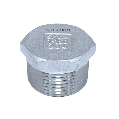 Stainless Steel Hex Plug