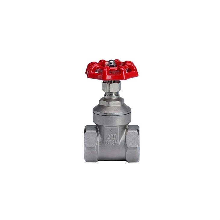 Stainless Steel Gate Valve