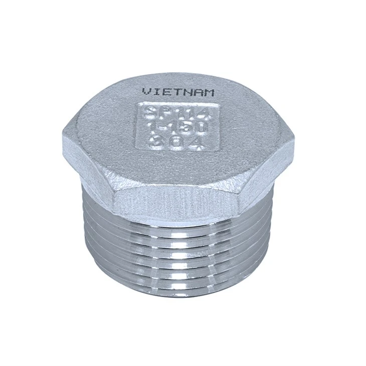 Stainless Steel Hex Plug