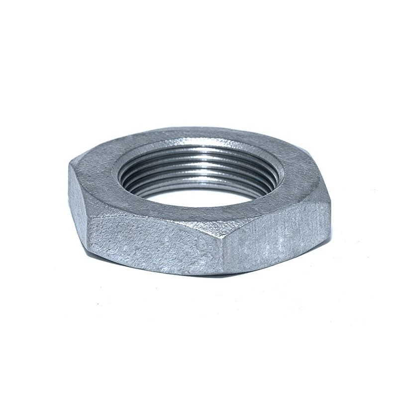 Stainless Steel Hex Nut